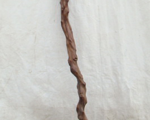拐杖|walking stick