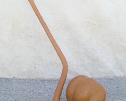 葫芦|bottle gourd