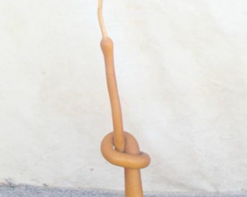 葫芦|bottle gourd