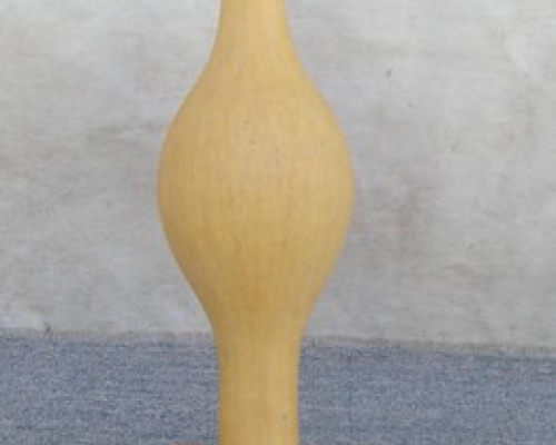 葫芦|bottle gourd