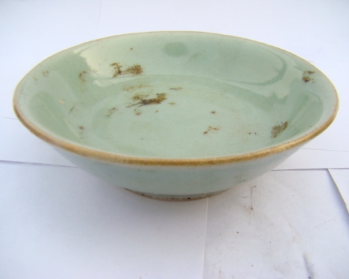 绿碟子|small plate