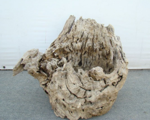 木根