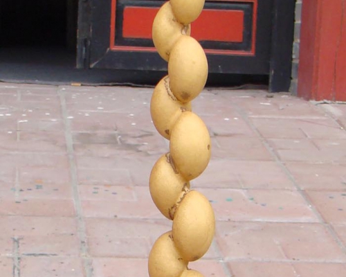 葫芦
