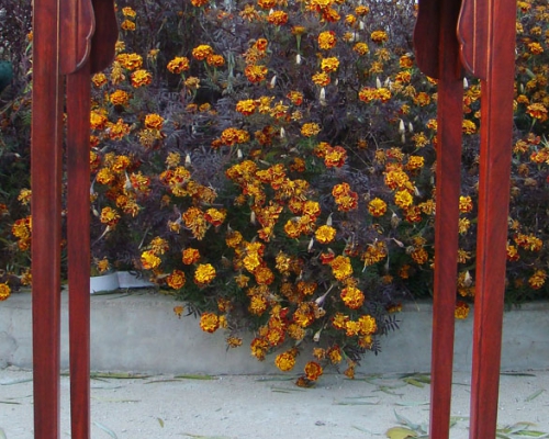 花几