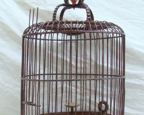 鸟笼|bird cage
