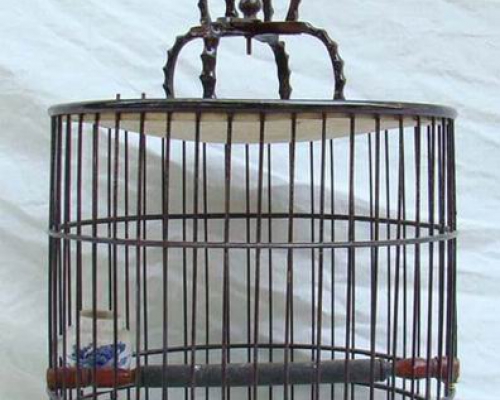 鸟笼|bird cage