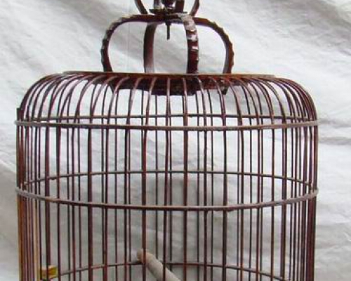 鸟笼|bird cage
