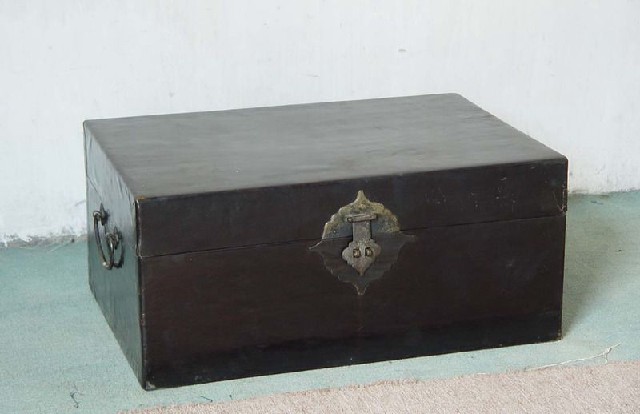 皮箱|Leather trunk
