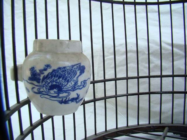 鸟笼|bird cage