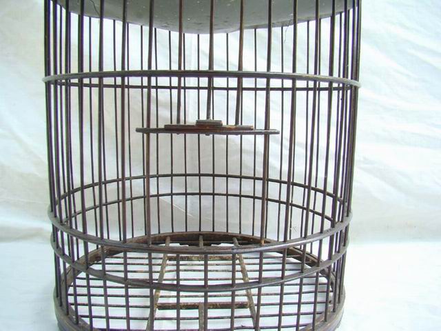 鸟笼|bird cage