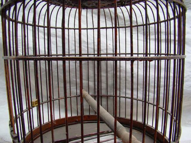鸟笼|bird cage