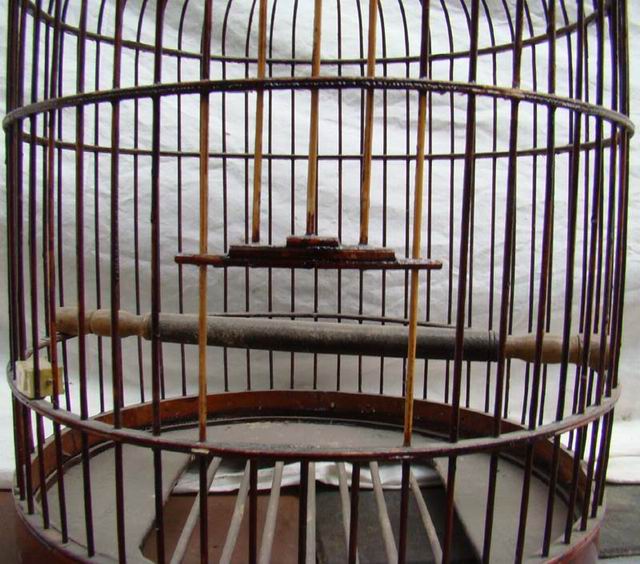 鸟笼|bird cage